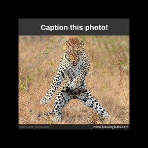 Meet your Posher, Marwan